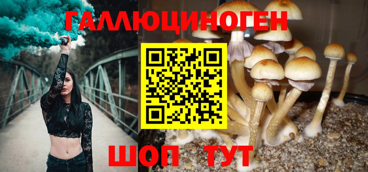 Псилоцибиновые грибы мухоморы  Вход с VPN  Нововоронеж 
