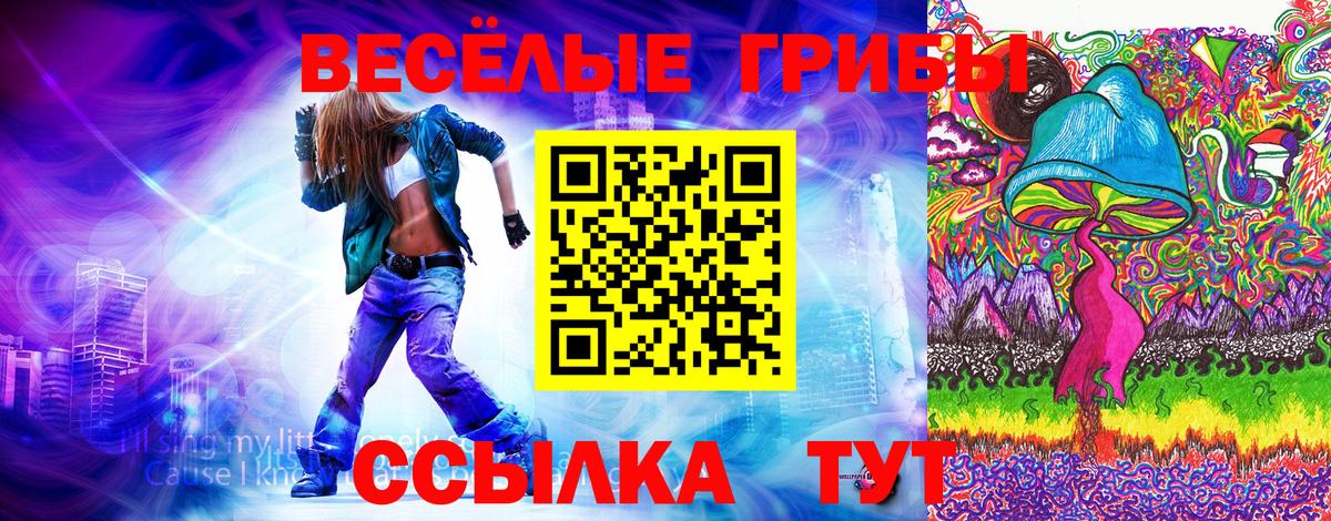 Галлюциногенные грибы MAGIC MUSHROOMS Нововоронеж